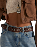 Preston Stud Belt in Mocha