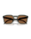 The Oakley HSTN SQ MotoGP Collection Sunglasses in Prizm Bronze & Grey Smoke