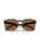 The Oakley HSTN SQ MotoGP Collection Sunglasses in Prizm Bronze & Grey Smoke