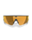 Meta Vanguard Sunglasses in Black & Prizm 24K