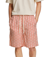 Cruz Walkshorts in Terracotta