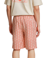 Cruz Walkshorts in Terracotta