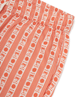 Cruz Walkshorts in Terracotta