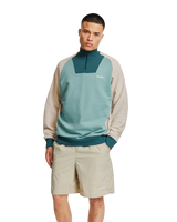 Zenith 1/4 Zip Sweatshirt in Sage Shore