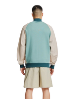 Zenith 1/4 Zip Sweatshirt in Sage Shore