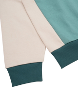 Zenith 1/4 Zip Sweatshirt in Sage Shore