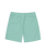 Resort Volley Shorts in Mineral