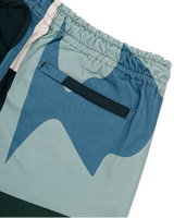 The Parlez Mens Virginia Boardshorts in Multi