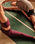 Ever Grip™ Paws Yoga Mat in Wild Forest Green