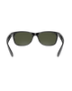 New Wayfarer Sunglasses in Black