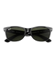 New Wayfarer Sunglasses in Black