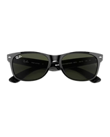 New Wayfarer Sunglasses in Black