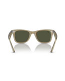 The Ray-Ban Original Wayfarer Change Sunglasses in Photo Striped Grey | Available at Anns Cottage