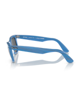 The Ray-Ban Original Wayfarer Change Sunglasses in Photo Striped Blue