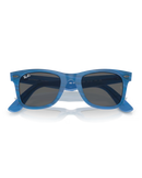 The Ray-Ban Original Wayfarer Change Sunglasses in Photo Striped Blue