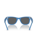 The Ray-Ban Original Wayfarer Change Sunglasses in Photo Striped Blue