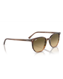 The Ray-Ban Elliot Sunglasses in Polished Striped Brown & Green