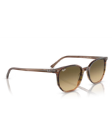 The Ray-Ban Elliot Sunglasses in Polished Striped Brown & Green