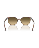 The Ray-Ban Elliot Sunglasses in Polished Striped Brown & Green