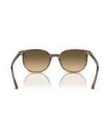 The Ray-Ban Elliot Sunglasses in Polished Striped Brown & Green