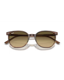 The Ray-Ban Elliot Sunglasses in Polished Striped Brown & Green