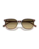 The Ray-Ban Elliot Sunglasses in Polished Striped Brown & Green