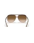 The Ray-Ban Bill Sunglasses in Polished Havana On Transparent Brown & Light Brown Gradient