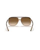 The Ray-Ban Bill Sunglasses in Polished Havana On Transparent Brown & Light Brown Gradient