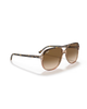 The Ray-Ban Bill Sunglasses in Polished Havana On Transparent Brown & Light Brown Gradient