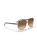 The Ray-Ban Bill Sunglasses in Polished Havana On Transparent Brown & Light Brown Gradient