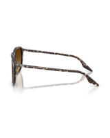 The Ray-Ban RB2203 Sunglasses in Polished Havana Yellow Tortoiseshell