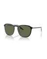 The Ray-Ban RB2203 Sunglasses in Black On Transparent