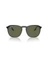 The Ray-Ban RB2203 Sunglasses in Black On Transparent