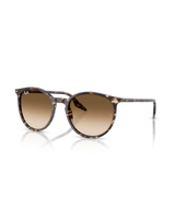 The Ray-Ban RB2204 Sunglasses in Polished Havana Yellow Tortoiseshell