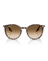 The Ray-Ban RB2204 Sunglasses in Polished Havana Yellow Tortoiseshell