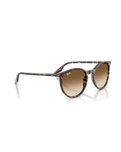 The Ray-Ban RB2204 Sunglasses in Polished Havana Yellow Tortoiseshell