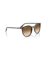 The Ray-Ban RB2204 Sunglasses in Polished Havana Yellow Tortoiseshell