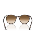 The Ray-Ban RB2204 Sunglasses in Polished Havana Yellow Tortoiseshell