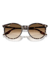 The Ray-Ban RB2204 Sunglasses in Polished Havana Yellow Tortoiseshell