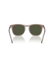 The Ray-Ban RB2210 Sunglasses in Transparent Light Brown & Green