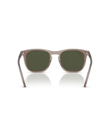 The Ray-Ban RB2210 Sunglasses in Transparent Light Brown & Green