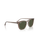 The Ray-Ban RB2210 Sunglasses in Transparent Light Brown & Green