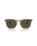 The Ray-Ban RB2210 Sunglasses in Transparent Light Brown & Green