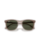 The Ray-Ban RB2210 Sunglasses in Transparent Light Brown & Green