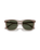 The Ray-Ban RB2210 Sunglasses in Transparent Light Brown & Green