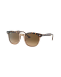 Hawkeye Polarised Sunglasses in Havana On Transparent Brown