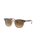 Hawkeye Polarised Sunglasses in Havana On Transparent Brown