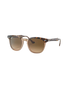 Hawkeye Polarised Sunglasses in Havana On Transparent Brown