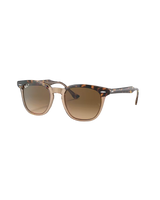 Hawkeye Polarised Sunglasses in Havana On Transparent Brown