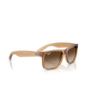 The Ray-Ban Justin Classic Sunglasses in Polished Rubber Beige